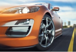 Plantlet Care: How To Pot Up and Care For Juvenile Houseplants